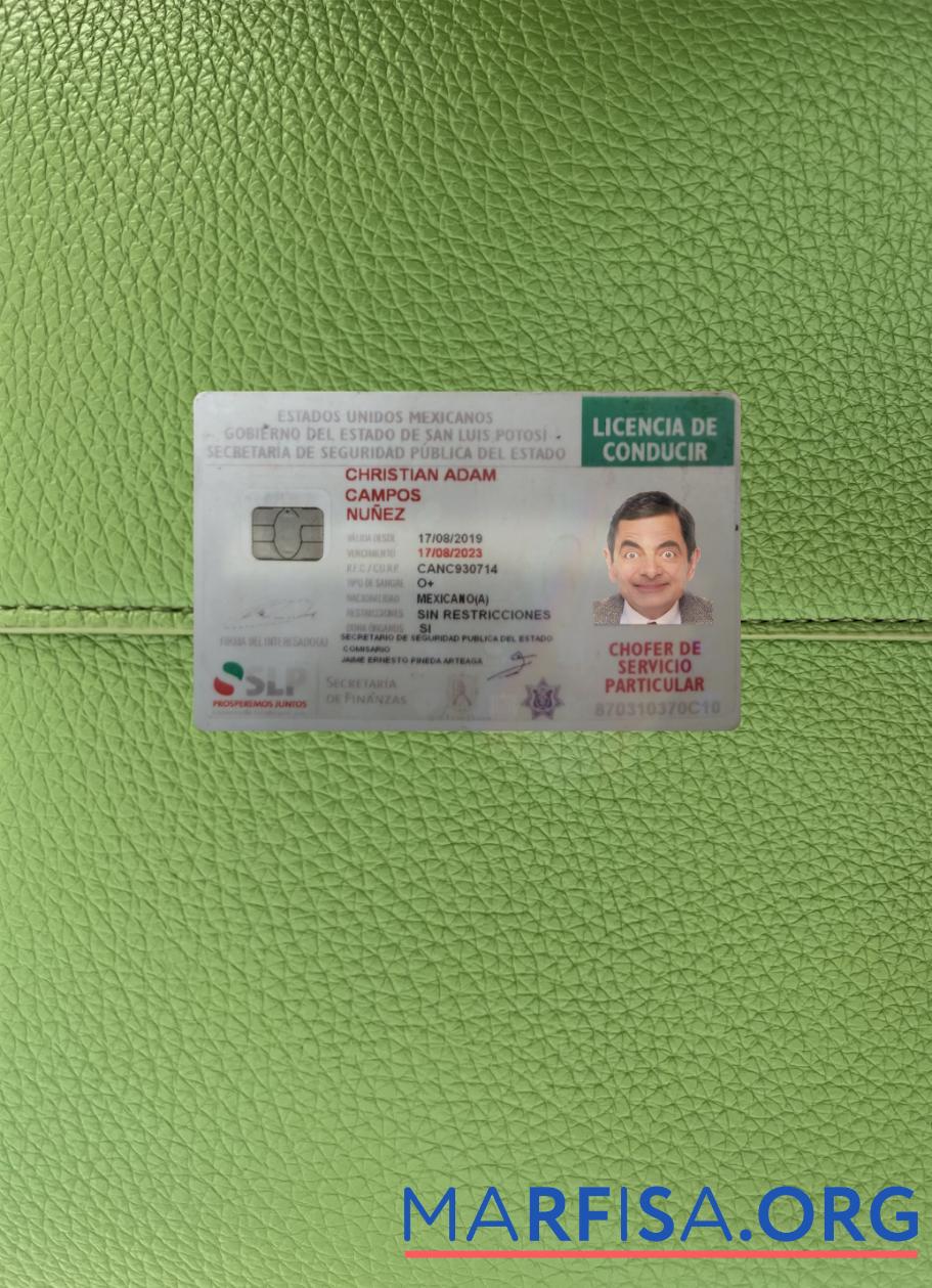 Realistic Mexico driving license 2019 present photolook real example